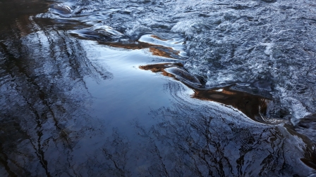 foto Vegetarian.cz 2020